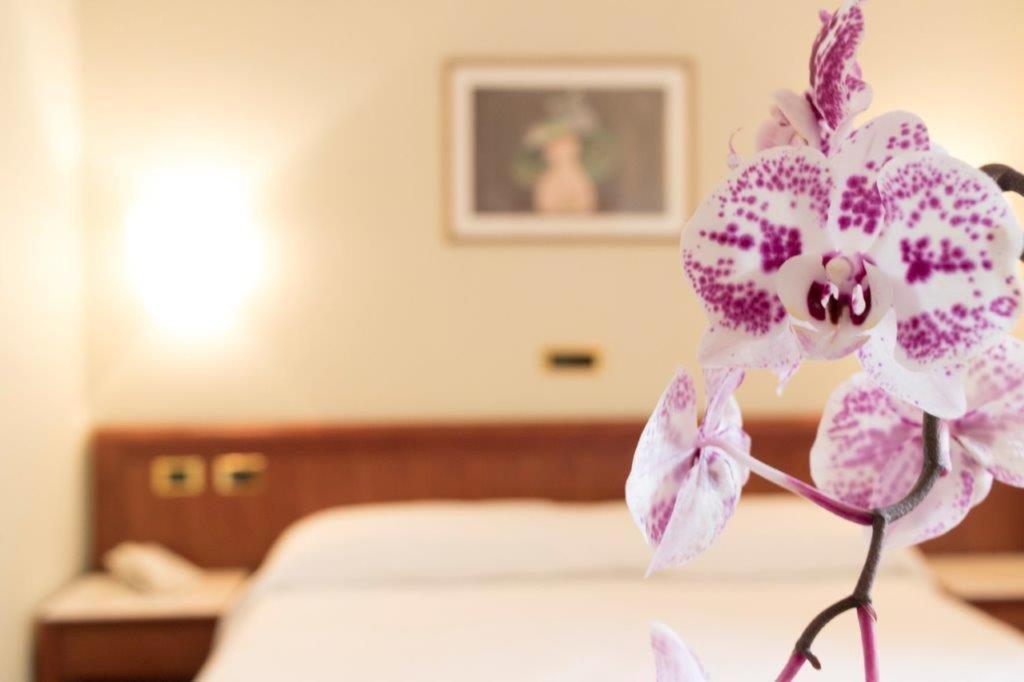 Palace Hotel ชิวิตาโนวา มาร์เค ภายนอก รูปภาพ